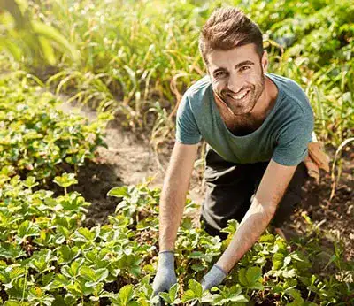 Imagen de Avales_Joven_Agricultor