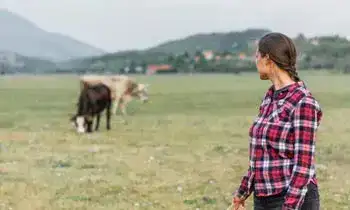 quién puede solicitar un aval